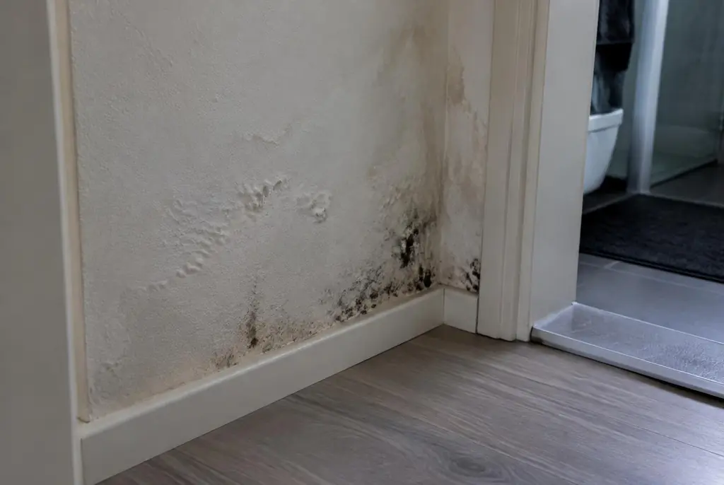 Lekdetectie Eemnes – vochtplek met schimmel op een muur
